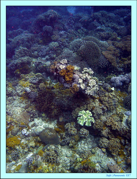 2012 - 07 - Apoh Island 04